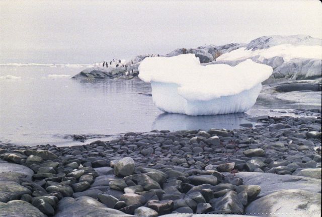 03-04-03-a-2003-04-10a.jpg